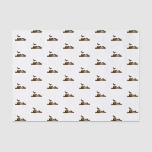 Sandpipers op buistekening -  illustratie tissuepapier (Voorkant)