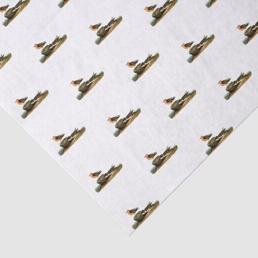 Sandpipers op buistekening -  illustratie tissuepapier (Detail)