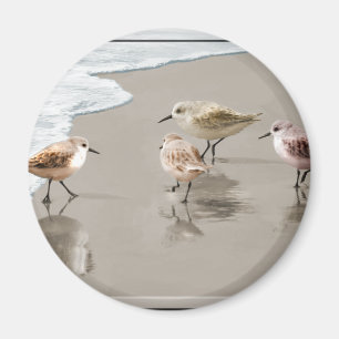 Sandpipers op de Shoreline Magneet