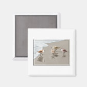 Sandpipers op de Shoreline Magneet (Voorkant / Achterkant)