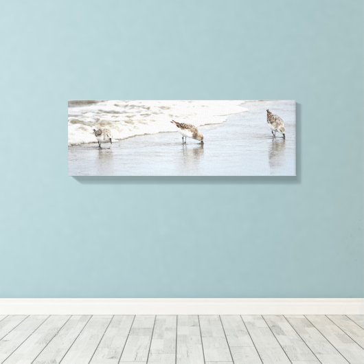 Sandpipers op het KabelschilderCanvas met doorsned Canvas Afdruk (Insitu (Houten vloer))
