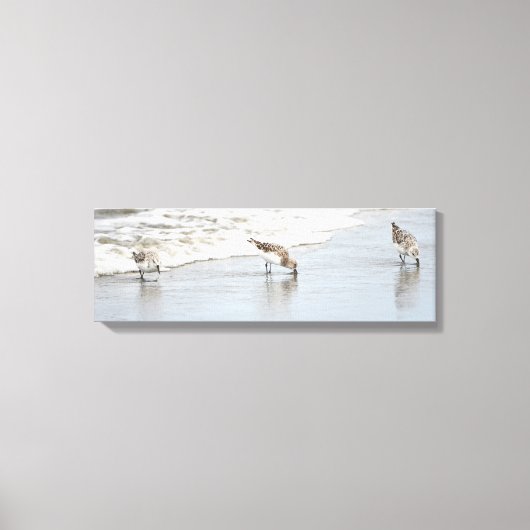 Sandpipers op het KabelschilderCanvas met doorsned Canvas Afdruk (Voorkant)