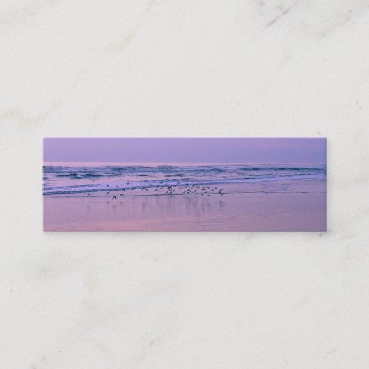 Sandpipers op het strand bij de Sunrise Contact Ka Contactkaartje (Voorkant)