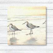 Sandpipers op het strand canvas afdruk