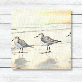 Sandpipers op het strand canvas afdruk