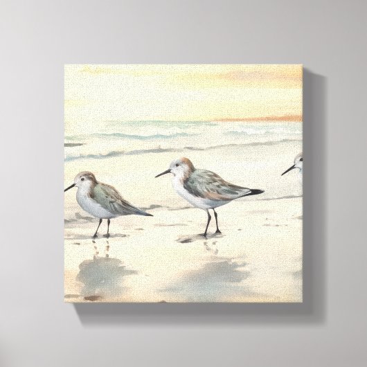Sandpipers op het strand canvas afdruk (Voorkant)