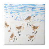 Sandpipers op Old Orchard Beach Tegeltje (Voorkant)