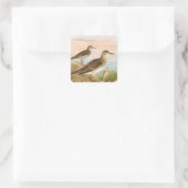 Sandpipers Vogelillustratie Vierkante Sticker (Tas)