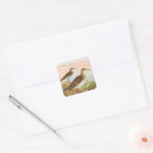 Sandpipers Vogelillustratie Vierkante Sticker (Envelop)