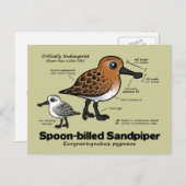 Sandpiperstatistieken met mondkapjes briefkaart (Voorkant / Achterkant)