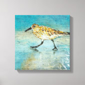 Sandpiperwading Shorebird Weathered look Canvas (Voorkant)