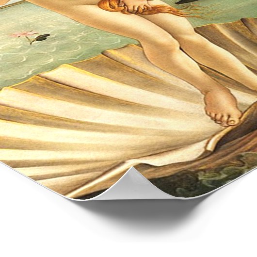 Sandro Botticelli Birth Of Venus Poster (Hoek)
