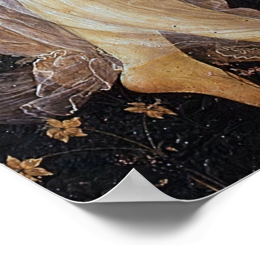 Sandro Botticelli - Drie races in Primavera Poster (Hoek)