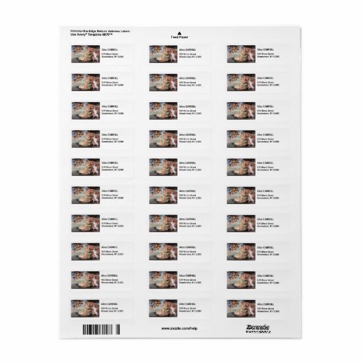 Sandro Botticelli - geboorte van Venus Etiket (Full Sheet)