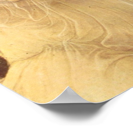 Sandro Botticelli-Spring (Primavera), detail Poster (Hoek)