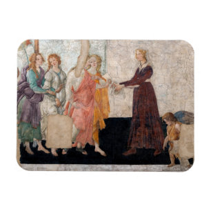 Sandro Botticelli - Venus en de drie races Magneet
