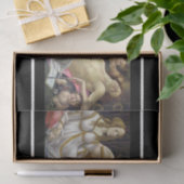 Sandro Botticelli - Venus en Mars Tissuepapier (Geschenk)
