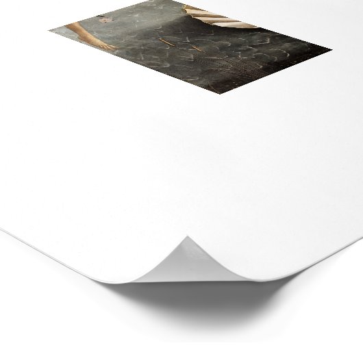 Sandro Botticelli's The Birth of Venus (1485) Poster (Hoek)