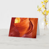 Sandsteenformaties Paria Canyon Arizona Kaart (Gele Bloem)