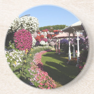 SandsteenOnderzetter met petunia's Zandsteen Onderzetter