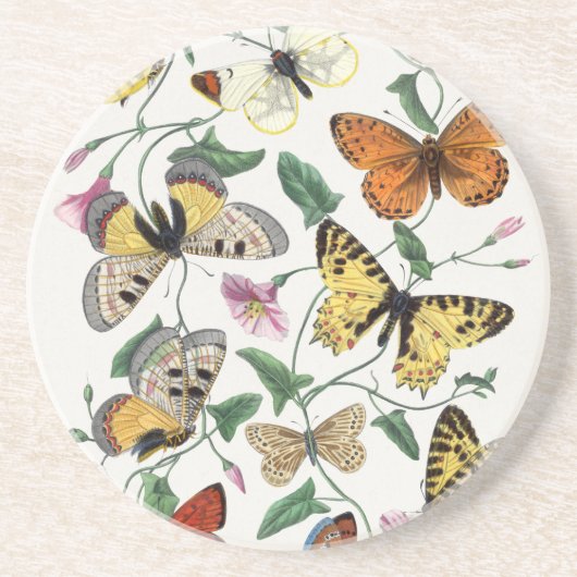 Sandstone Butterfly Antiek Illustration Onderzette Zandsteen Onderzetter (Voorkant)