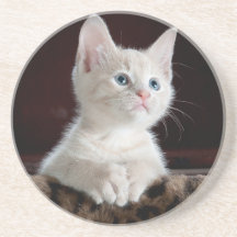 Sandstone Onderzetter houdt van katten, voor meisj