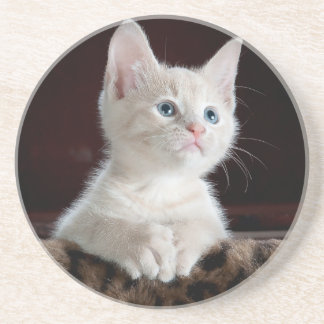 Sandstone Onderzetter houdt van katten, voor meisj