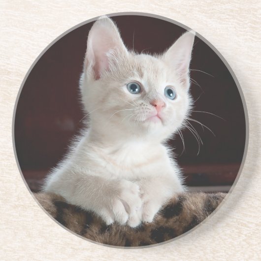 Sandstone Onderzetter houdt van katten, voor meisj (Voorkant)