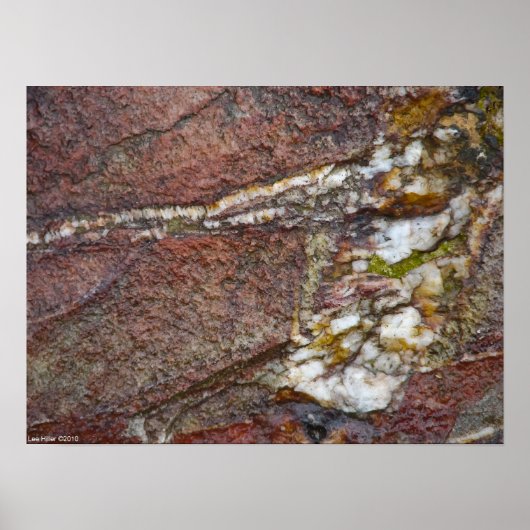 Sandstone Quartz Poster "Prime Rib Rock" (Voorkant)