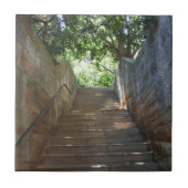 Sandstone Steps Tile Tegeltje (Voorkant)