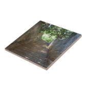 Sandstone Steps Tile Tegeltje (Zijkant)