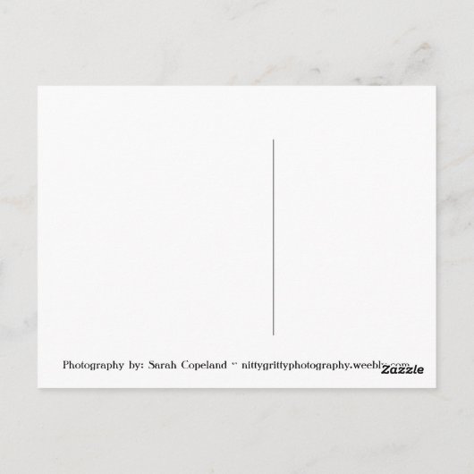 Sandwell Beach Briefkaart (Achterkant)