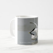 Sandwich Terns over Texas Coast Koffiemok (Voorkant links)