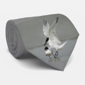 Sandwich Terns voor cursussen Stropdas (Opgerold)