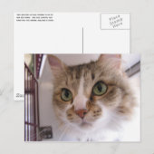 Sandy Aankondigingskaart (Voorkant / Achterkant)