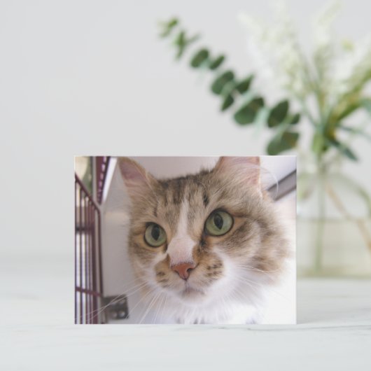 Sandy Aankondigingskaart (Staand voorkant)