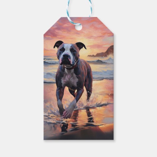 Sandy American Staffordshire Hond op Strand Zonson Cadeaulabel (Voorkant)