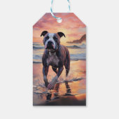 Sandy American Staffordshire Hond op Strand Zonson Cadeaulabel (Achterkant)