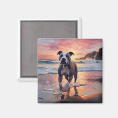 Sandy American Staffordshire Hond op Strand Zonson Magneet (Voorkant / Achterkant)