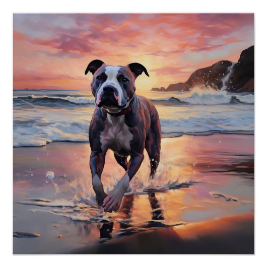 Sandy American Staffordshire Hond op Strand Zonson Perfect Poster (Voorkant)