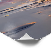 Sandy American Staffordshire Hond op Strand Zonson Perfect Poster (Hoek)