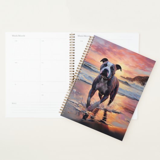 Sandy American Staffordshire Hond op Strand Zonson Planner (Display)