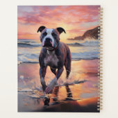 Sandy American Staffordshire Hond op Strand Zonson Planner (Achterkant)