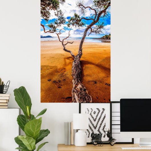 Sandy Bay Pohutukawa Tree Poster (Thuiskantoor)