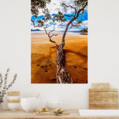 Sandy Bay Pohutukawa Tree Poster (Keuken)