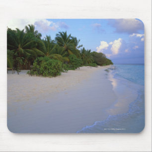 Sandy Beach 7 Muismat