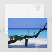 Sandy Beach 8 Briefkaart (Voorkant / Achterkant)