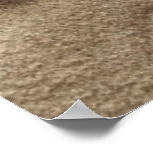 Sandy Beach Background with Shells and Starfish Poster (Hoek)