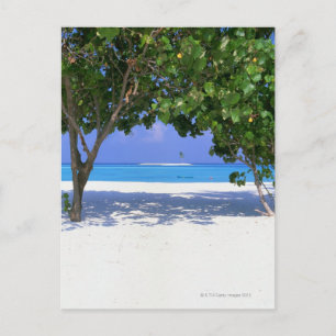Sandy Beach Briefkaart
