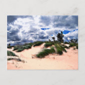 Sandy Beach Dune Grass Briefkaart (Voorkant)
